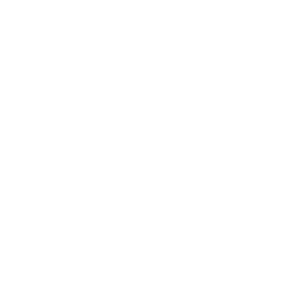 ce logo Nice